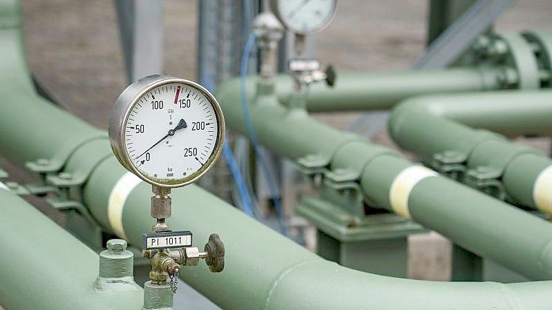 Der Umfrage zufolge wollen 14 Prozent, dass Deutschland auch weiterhin Gas und Öl aus Russland bezieht. Foto: Axel Heimken/dpa