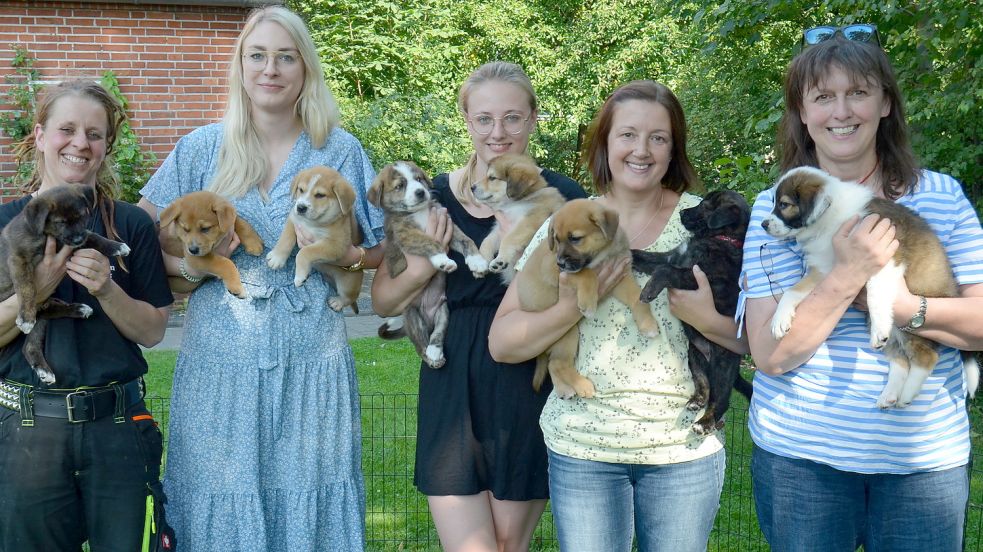 Das gesamte Welpenglück auf dem Arm haben hier (von links) Tierheimleiterin Franka Thun, Michelle und Monique Kramer, Pflegestelle Sabine Hartmann und die Vorsitzende des Tierschutzvereins Friesoythe, Monika Böker aus Harkebrügge. Fotos: Fertig