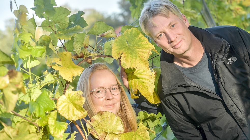 Reiner und Thekla Schulte kümmern sich vor Ort um den Weinberg. Fotos: Ortgies