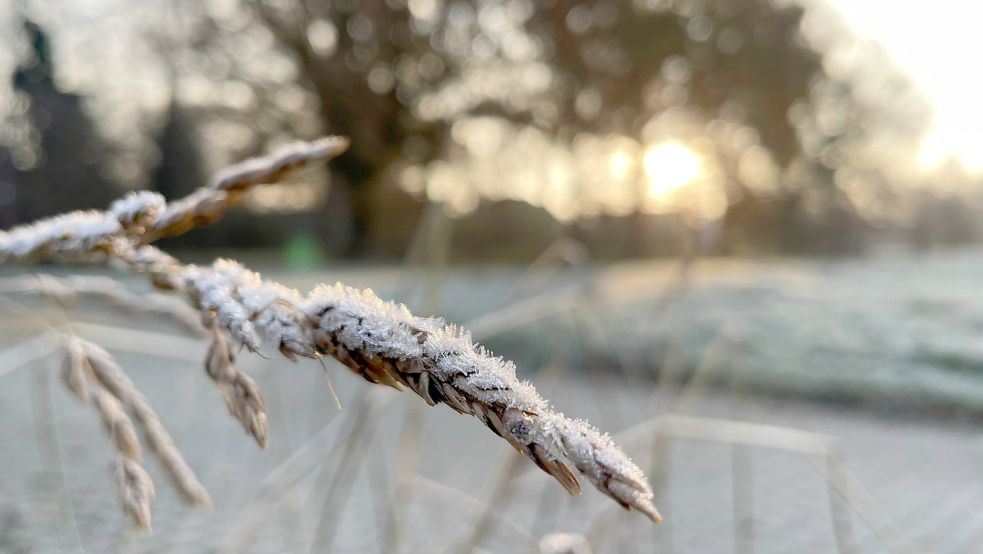 Dieser winterliche Sonnenaufgang wurde in Rhaudermoor fotografiert. Foto: Janßen