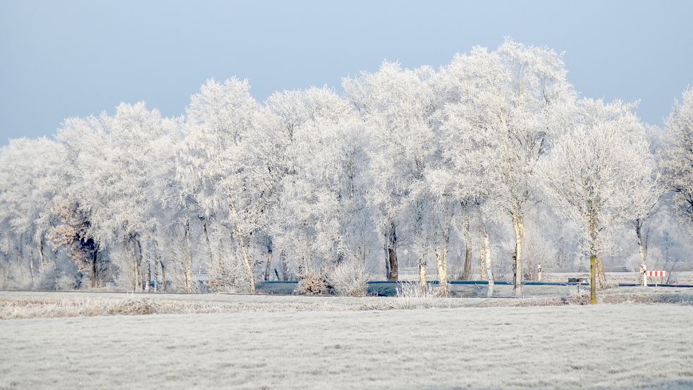 Dieses schöne Winterbild wurde zwischen Holterfehn und Potshausen aufgenommen. Foto: Zein