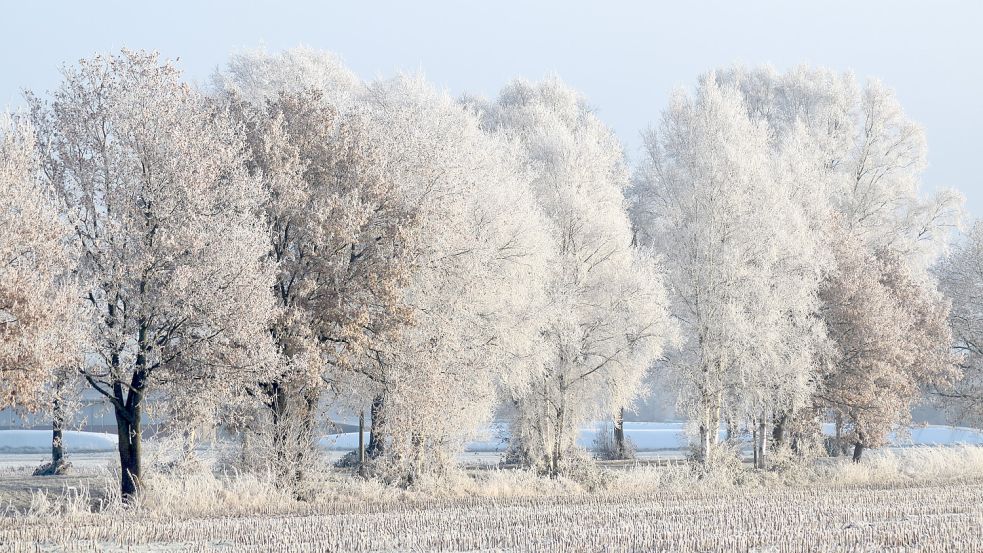 Temperaturen weit unter dem Gefrierpunkt herrschten in der vergangenen Nacht in Ostfriesland. Foto: Zein