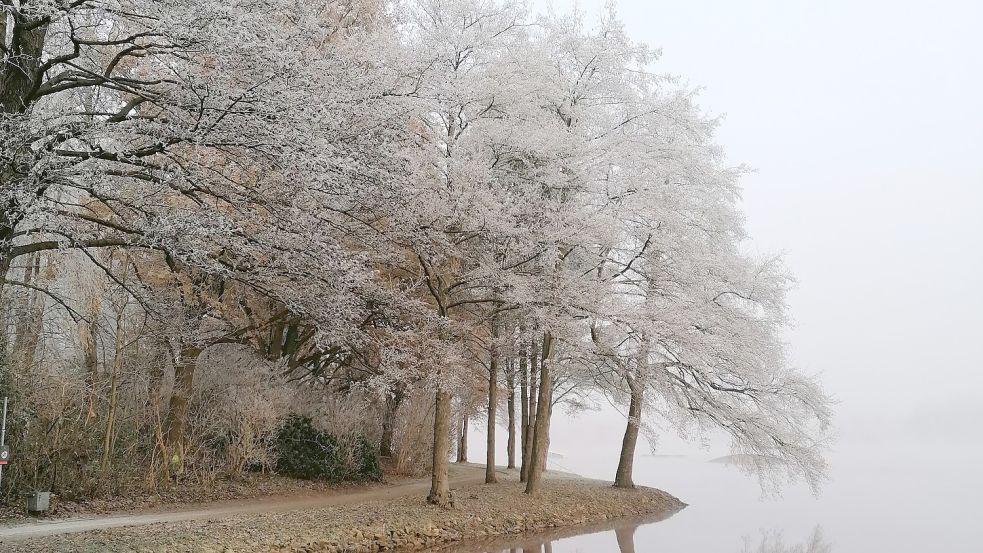 Alfred Neeland aus Ostrhauderfehn hat dieses Bild am Idasee aufgenommen. Foto: Neeland