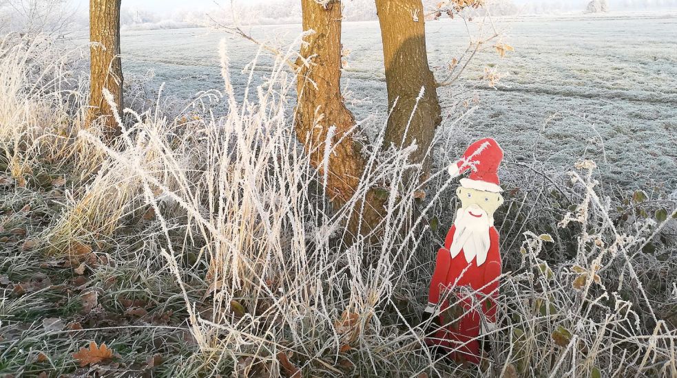 Am Wanderweg zwischen Marienheil und Rhaudermoor hat wieder jemand geschmückt - dieses Mal winterlich-weihnachtlich. Foto: Meyerhoff