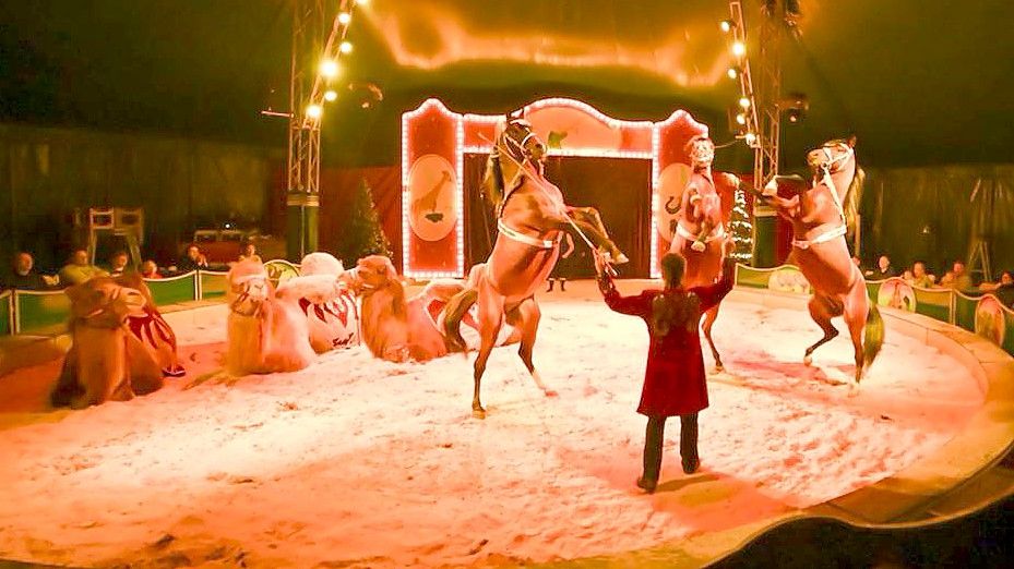 Die Premiere des Weihnachts-Zirkus am Freitagabend war gut besucht. Fotos: Lohmann