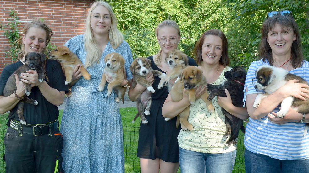 Die acht Welpen von Fundhündin Eule, die Sabine Hartmann (2. von rechts) mit Michelle und Monique Kramer (2. und 3. von links) auf einer Pflegestelle für das Tierheim Sedelsberg aufgezogen hatte, wurden im August 2022 vermittelt. Tierheimleiterin Franka Thun (ganz links) hält den kleinen Abbas auf den Arm, der blind ist. Archivfoto: Fertig