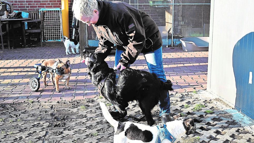 Angela Weidtmann kümmert sich um die alten und kranken Tiere auf dem Gnadenhof Tierseelen. Foto: Kothe