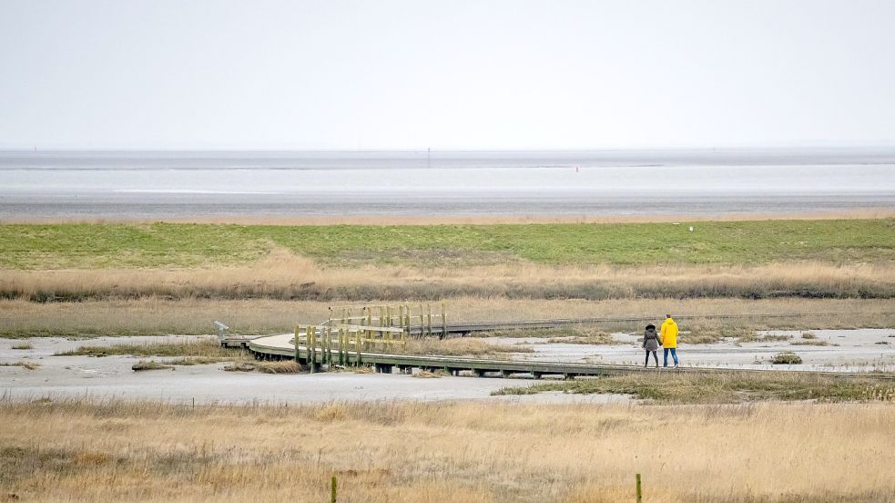 Spaziergänger laufen über die Stege vom Naturerlebnispfad am Langwarder Groden. Foto: Schuldt/dpa