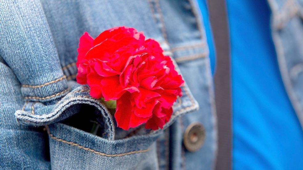 Am Weltfrauentag werden gerne rote Nelken vergeben. Foto: dpa/Sebastian Kahnert