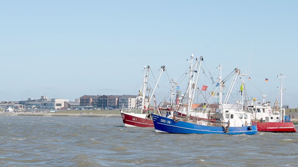 Fischkutter vor Büsum. Wie geht es für viele Fischer in Deutschland jetzt weiter? Foto: Michael Ruff