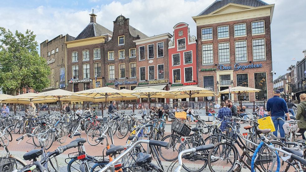 Nach dem Bummel über den Pflanzenmarkt in Groningen kann man in einem der zahlreichen Straßencafés eine Verschnaufpause einlegen. Foto: Gettkowski