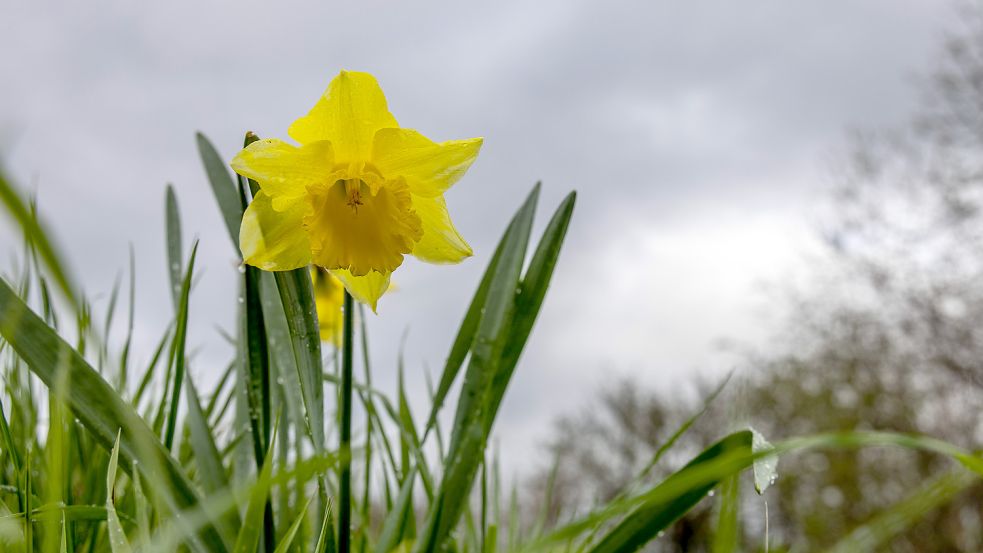 Die Temperaturen steigen in Niedersachsen zu Ostern wieder, doch es bleibt bewölkt. Foto: IMAGO IMAGES/Jan Eifert