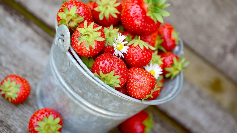 Erdbeeren sind eine reichhaltige Quelle von Vitamin C und enthalten auch viele andere Nährstoffe wie Ballaststoffe, Folsäure und Kalium. Symbolfoto: Pixabay