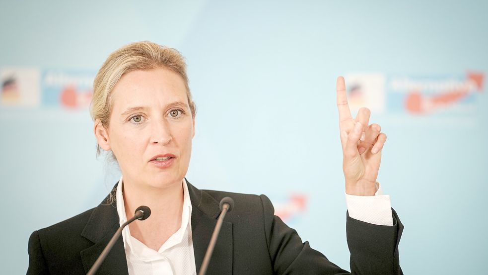 AfD-Vorsitzende Alice Weidel. Foto: dpa/Kay Nietfeld