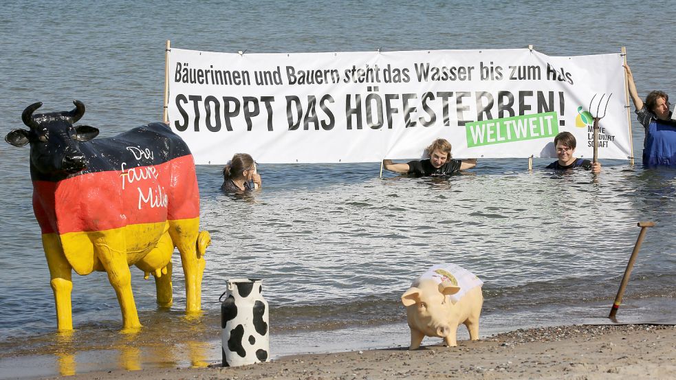 Seit Jahren protestieren deutsche Bauern gegen aus ihrer Sicht zu niedrige Preise Foto: dpa/Bernd Wüstneck