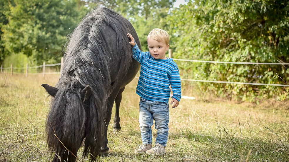 Der zweijährige Fenno liebt den Alltag mit Ponys, Hund und Katzen. Aktuell liegt das Kind im Krankenhaus. Foto: Privat