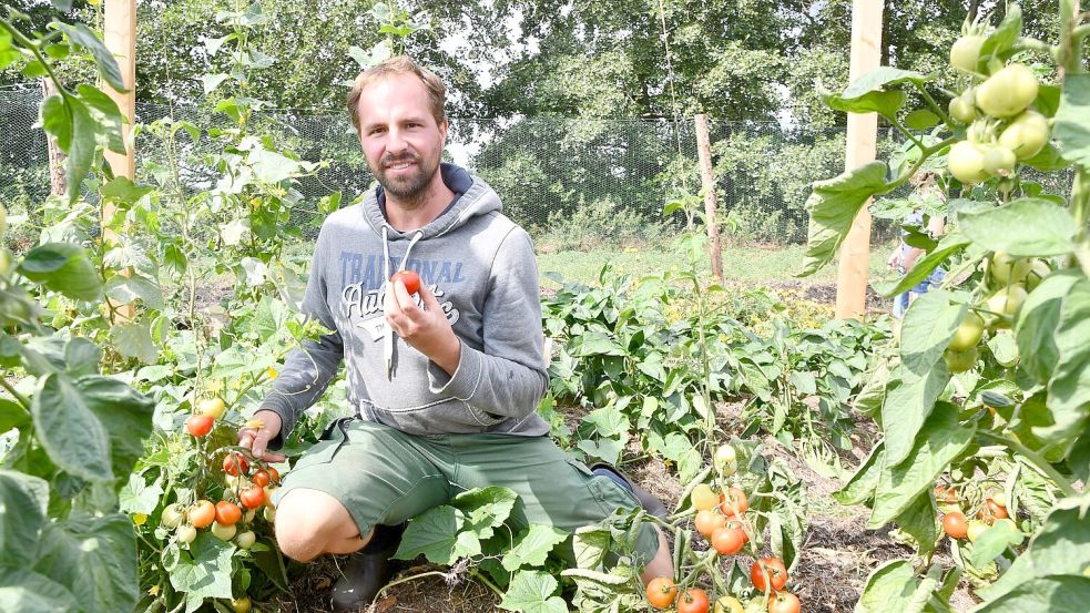 Felix Schary erntet seit Jahren frisches Gemüse. Foto: Archiv