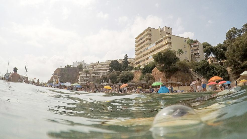 Lauern unter der Wasseroberfläche vor Mallorca kleine Fische mit Appetit auf Badegäste? Foto: dpa/Clara Margais