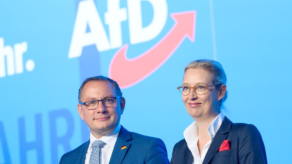 Die AfD hat am Sonntag ihre Europawahlversammlung in Magdeburg beendet. Foto: dpa/Klaus-Dietmar Gabbert