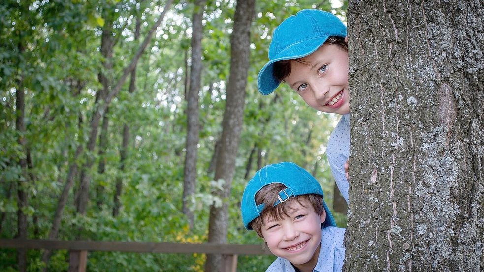 Im Wald lässt sich viel entdecken. Foto: Pixabay