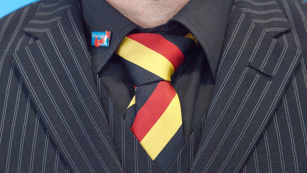 Fortsetzung AfD Europawahlversammlung Foto: dpa/Klaus-Dietmar Gabbert