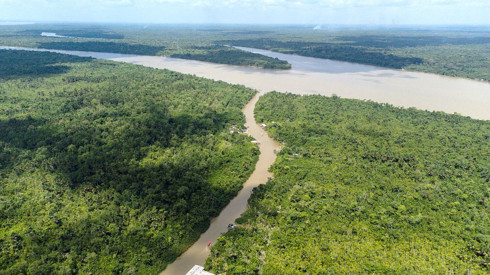 Blick auf den Fluss Guama und den Amazonas-Regenwald: Menschen leben an den Ufern in Holzhütten, sogenannten „Palafitas“, vom Verkauf der Früchten der Kohlpalme, Kakao, Fisch und vom Tourismus. . Foto: dpa/Filipe Bispo Vale