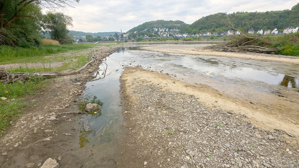 An der Ahr-Mündung haben Müllsammler mutmaßlich menschliche Knochen entdeckt. Foto: dpa/Thomas Frey