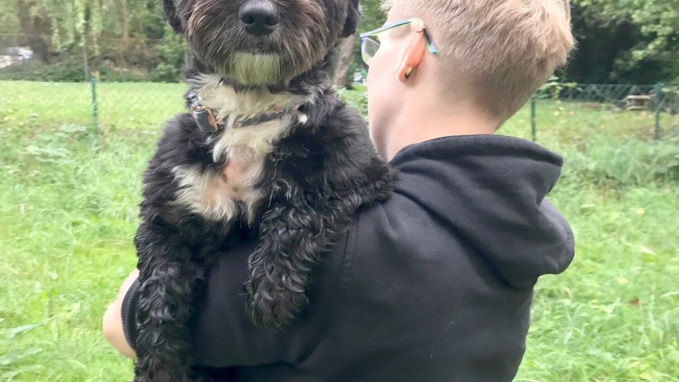 Anna Seifferts Hund Schnitzel ist ein richtiges Allergie-Kid. Sie möchte, dass es ihm gutgeht. Das kostet der Schwerinerin viel Zeit, Geld und Nerven. Foto: Anja Bölck