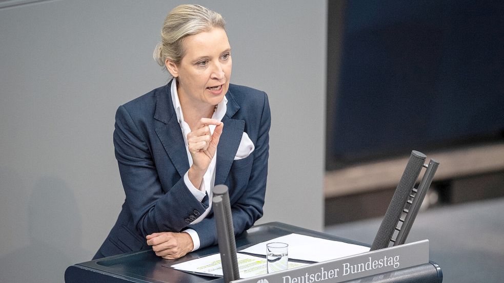 Hat AfD-Politikerin Alice Weidel in ihrer Doktorarbeit ohne Kennzeichnung fremde Quellen übernommen? Foto: dpa/Melissa Erichsen