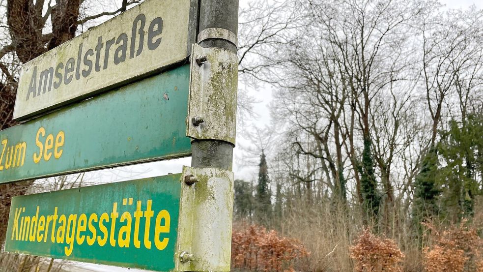 Auf der Fläche mit dem Wäldchen vor der Kindertagesstätte sollen Sozialwohnungen entstehen. Die Gemeinde Rhauderfehn verkauft dort zwei Grundstücke. Foto: Janßen