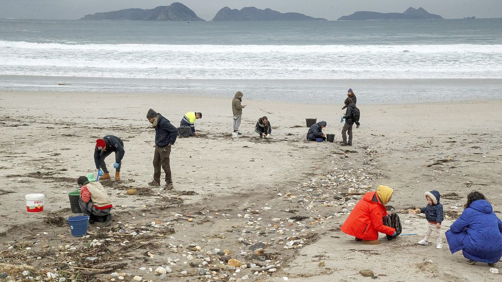 Wissenschaftler warnen, dass das Plastik über den Verzehr von Meerestieren auch in die menschliche Nahrungskette gelangen könnte. Foto: dpa/AP/Lalo R. Villar