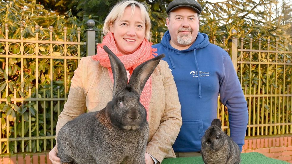 Mächtige Deutsche Riesen haben es Sabine Eggerking angetan. Torsten Tuchscheerer züchtet zierliche Zergkaninchen. Beide sind mit ihren Rassen sehr erfolgreich.