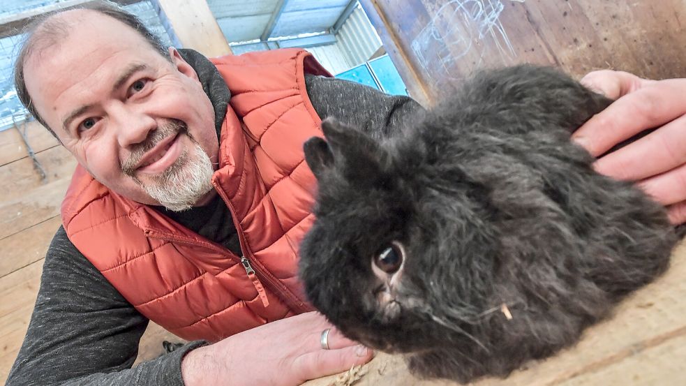 Thorsten Tuchscheerer züchtet unter anderem Zwergfuchskaninchen. Er hat uns gezeigt, wie die preisgekrönten Tiere bei ihm leben. Foto: Ortgies