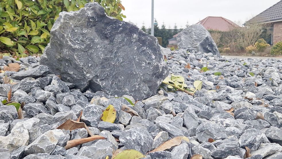 Wenn Hausbesitzer keine Lust zum Unkrautjäten und Rasenmähen haben, legen sie Schottergärten an. Der Landkreis Leer hat dieser Form der Gartengestaltung jetzt den Kampf angesagt. Foto: Gettkowski