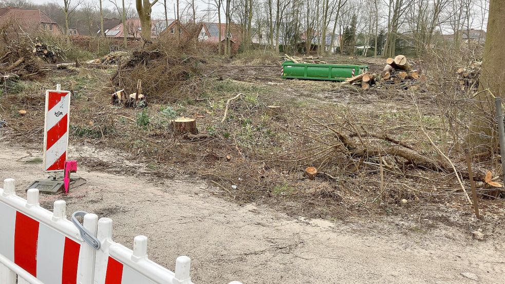 Platz für neuen Wohnraum schafft die Stadt Papenburg zurzeit auf dem Gelände der früheren Stadtgärtnerei an der Emdener Straße. Foto: Schade