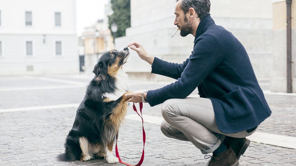 Zigarettenrauch kann für Haustiere gefährlich werden – etwa für Hunde, die in Raucherhaushalten leben. Foto: imago/Image Source