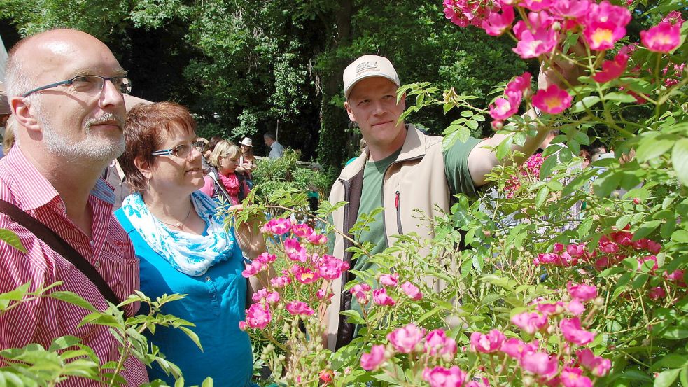 Beim Burggartenfest in Stickhausen dreht sich alles um das Thema Garten. Archivfoto: Ammermann