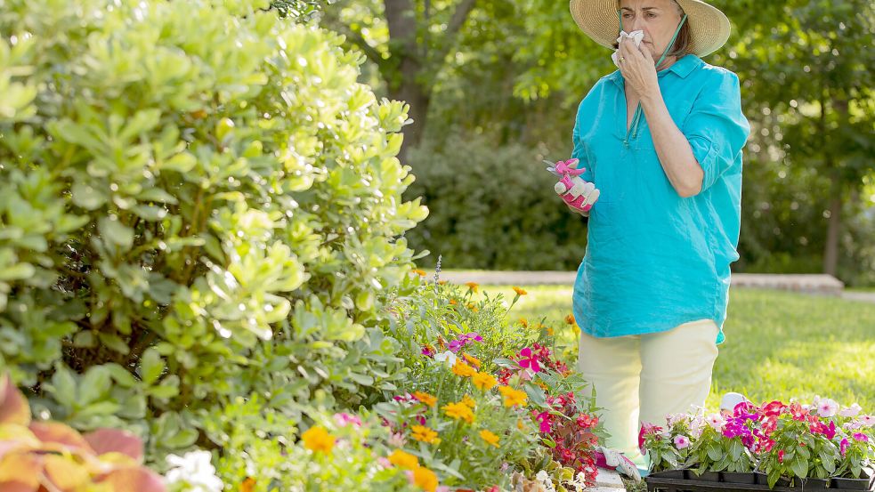 Die Arbeit im Garten kann Ihre Pollenallergie verschlimmern. Wie Sie die Grünfläche allergiefreundlicher machen. Foto: IMAGO/SuperStock