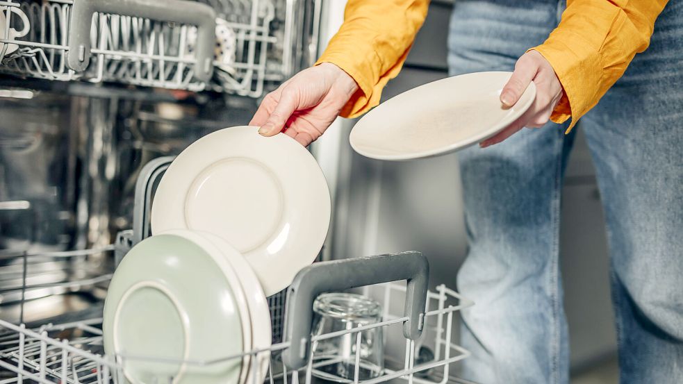 Wenn die Spülmaschine fertig ist, sollte man etwas warten, bevor man die sauberen Teller ausräumt. Sonst droht Schimmel im Küchenschrank. Foto: IMAGO/Westend61