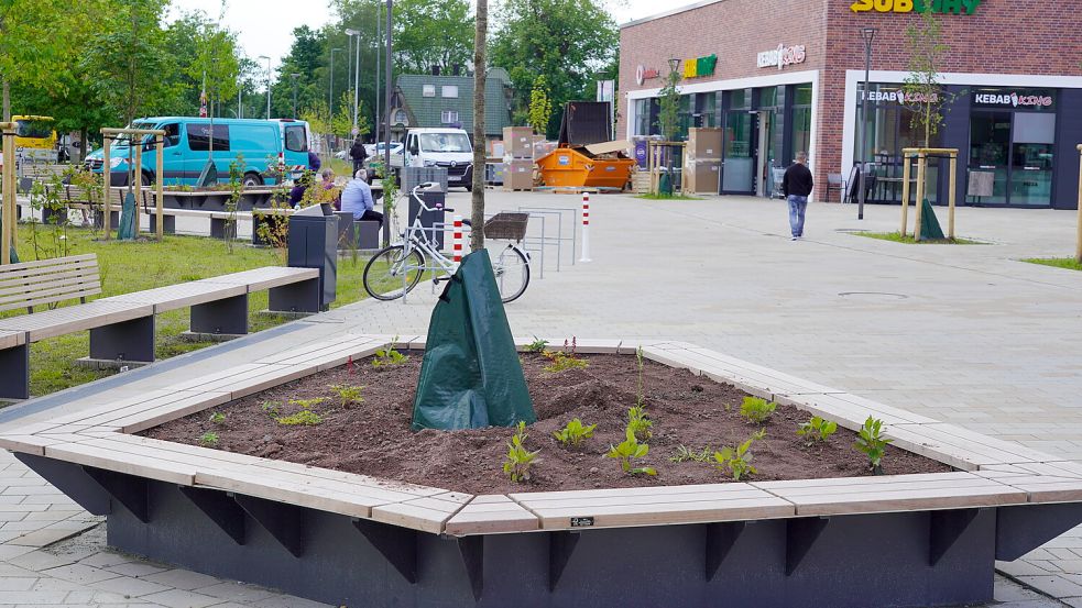 Frisch bepflanzt: An der Gestaltung der „Plaza“ zwischen Ems-Center und Hauptkanal in Papenburg wird einen Tag vor der offiziellen Eröffnung noch gearbeitet. Foto: Schade