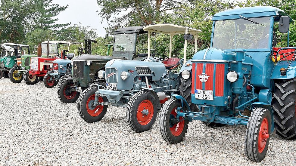 Mit alten Traktoren kann man in Stallbrüggerfeld auf Tour gehen. Foto: Stromann/Archiv