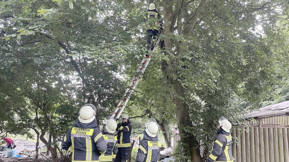 Die Einsatzkräfte arbeiteten sich Stück für Stück vor.