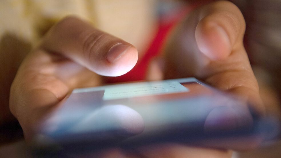 Ein junger Mann aus Bremen ist im Internet an Betrüger geraten. Foto: Sebastian Gollnow/dpa