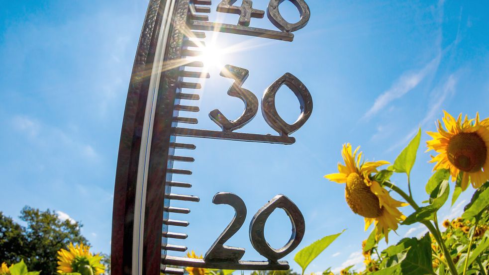 In einigen Teilen Niedersachsens klettert das Thermometer über die 30-Grad-Marke. Foto: IMAGO/Andreas Franke