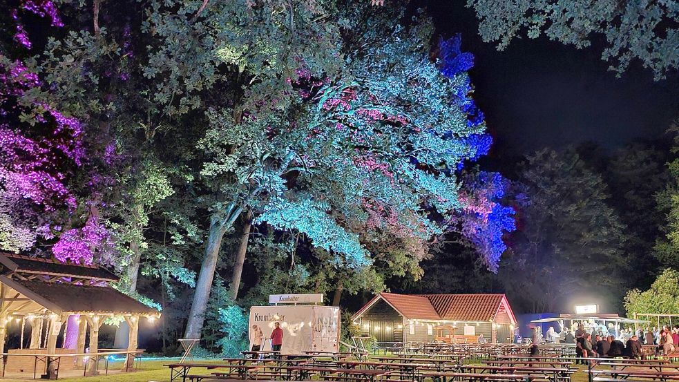 Zu späterer Stunde wird der Wald bunt erleuchtet. Foto: Samtgemeinde Hesel