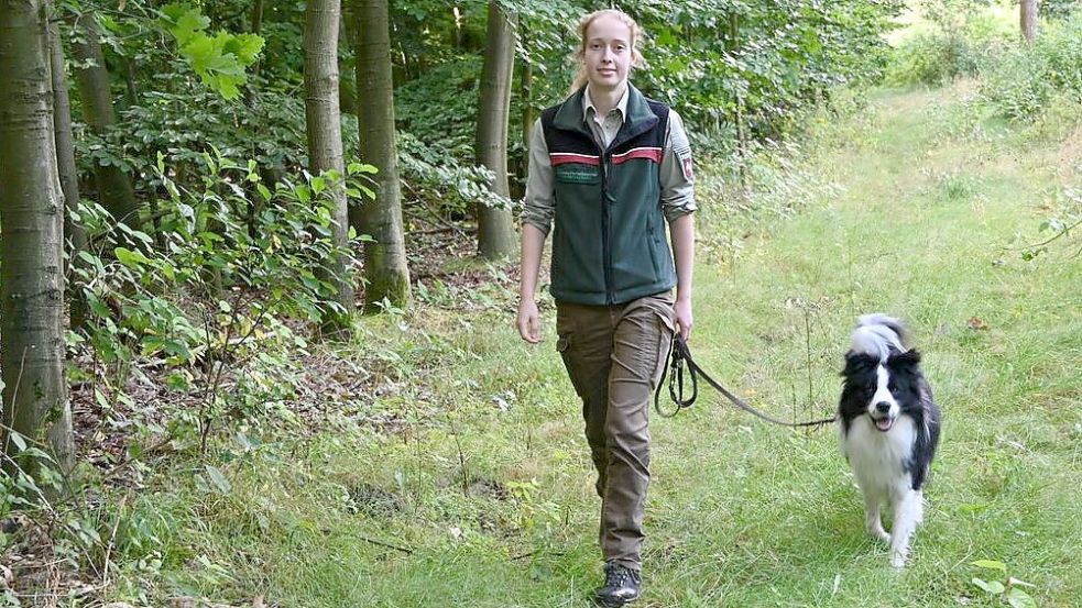 Immer unterwegs: Bezirksförsterin Lea Schwerter ist – unterstützt durch Border-Collie-Mix Merlin – für ein Waldgebiet von 2761 Hektar Größe zuständig. Foto: Stix