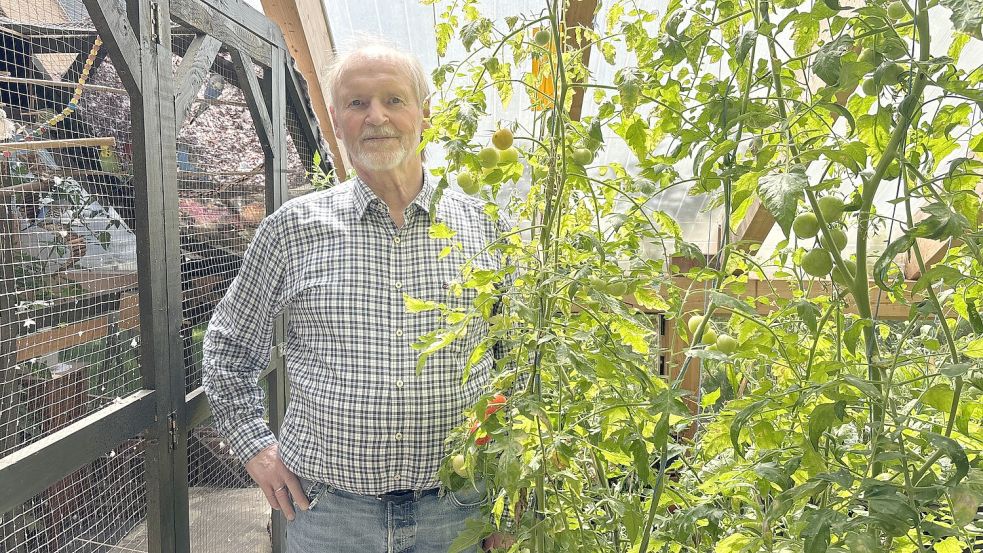 Gerhard Specht gehört das Grundstück auf dem die Riesen-Bärenklaupflanzen in der Nähe der Grundschule Holtermoor stehen. Der Pflanzenliebhaber möchte einige von den Pflanzen behalten. Foto: Spindler