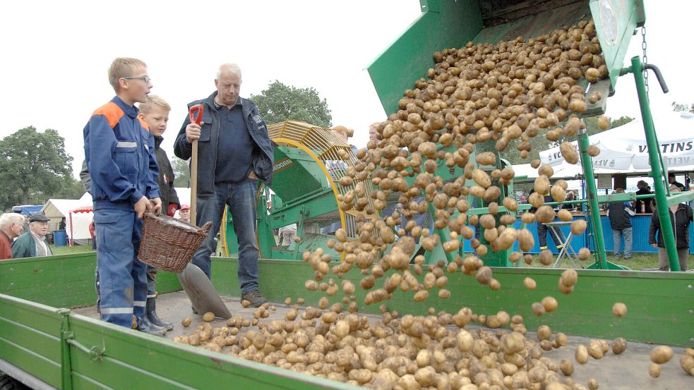 In Jübberde wird wieder Kartoffelernte gefeiert. Foto: Ellinger/Archiv