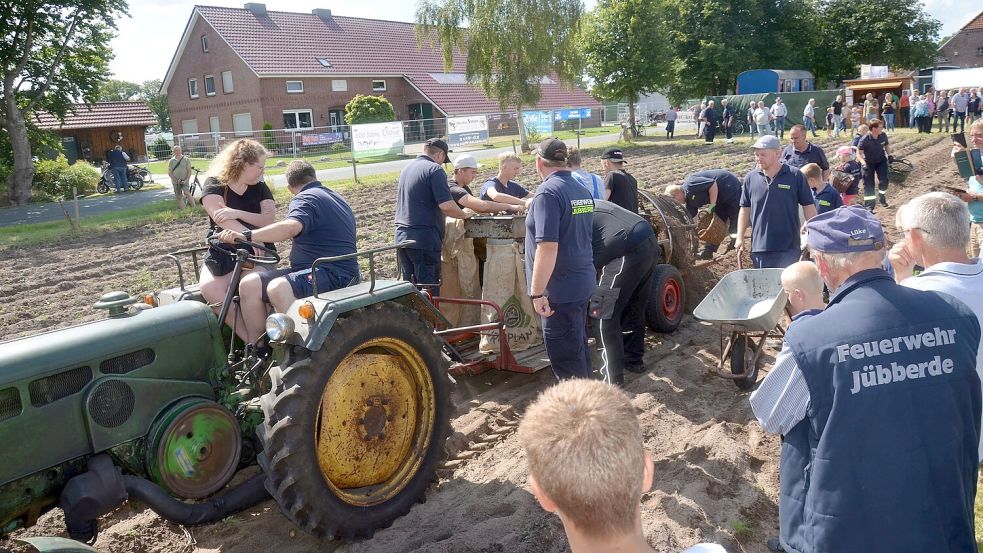 Zur Kartoffelernte kamen in der vergangenheit viele Besucherinnen und Besucher. Foto: Lehmann/Archiv