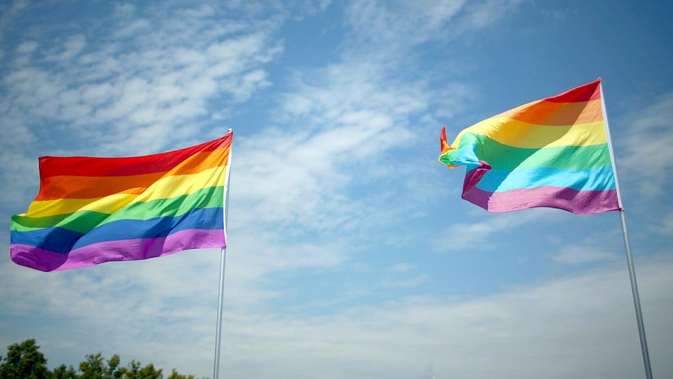 Die Regenbogenflagge gilt als Symbol für Vielfalt und Toleranz. In Neubrandenburg wurde erneut eine solche Fahne entwendet und gegen eine verbotene NS-Flagge ausgetauscht. (Archivbild) Foto: picture alliance / dpa